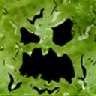 BotPopka