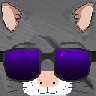 CatWithGun