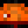 DarayCoKashin