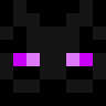 EnderBro2604