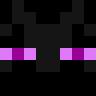 EnderBro2846