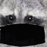 Luperdon