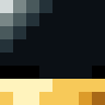 Max829s