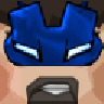 NinjaSvin