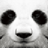 PandaMad