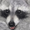 RAMZES666
