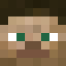 evolvestin